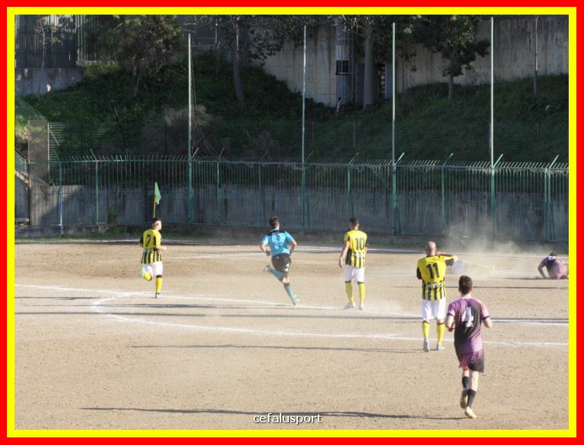 190310 Cephal_Torrenov 153_tn.jpg